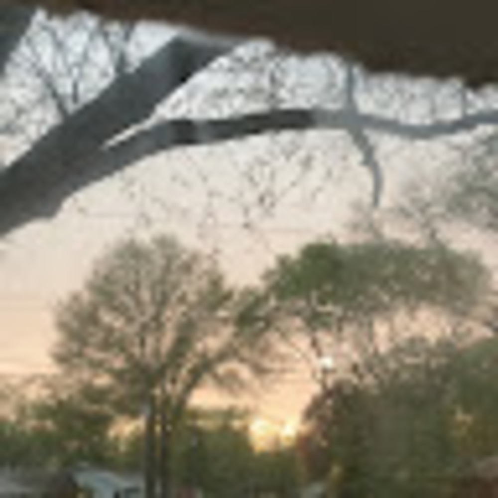 Meet your Posher, Zoey